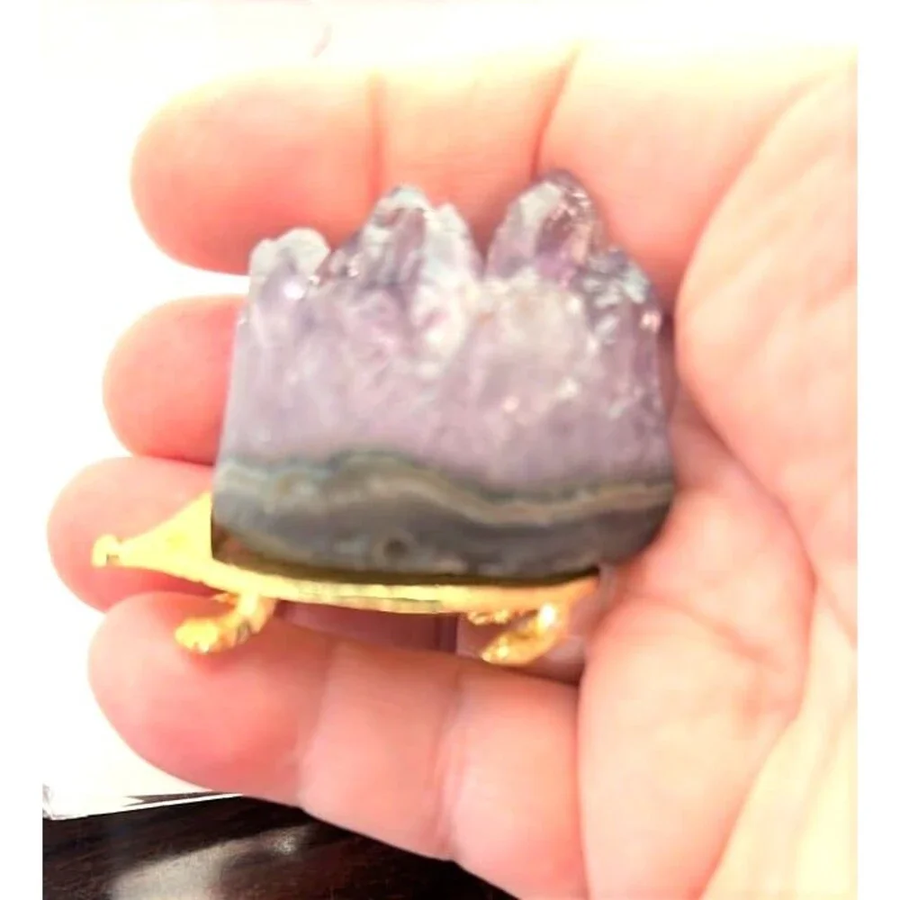 Adorable Amethyst Hedgehog